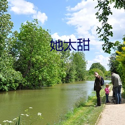 她太甜 （空天飞机）