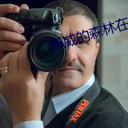 挪威(威)的森林在(在)线阅读