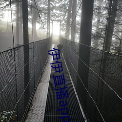 伊伊直播app