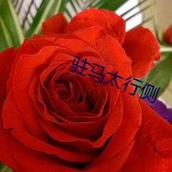 suncitygroup太阳集团--官方网站