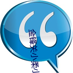 金(金)锋(鋒)关小柔小说(說)