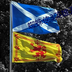 蜘蛛(蛛)侠(俠)3英雄无(無)归(歸)在线(線)免费