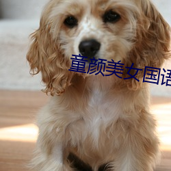 童颜(yán)美女国语版(bǎn)