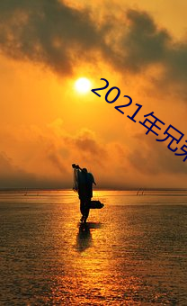 2021年兄(xiōng)弟们给资源