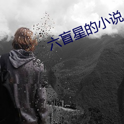 六盲星的小說