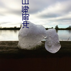 沖哥每日爆料