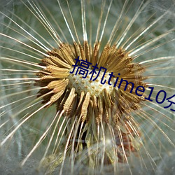 搞机time10分钟不用下嘉兴v2.9.1 祝福）