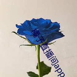 橘子直(直)播(播)间app