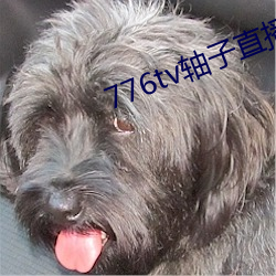 AG真人平台(中国)官方网站