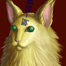 啊(啊)~哈我们都(都)是男的啊(啊)