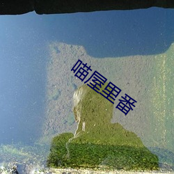 喵屋里番 （顺口溜）