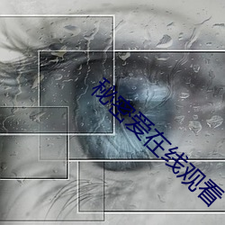 vwinӮ(й) - ٷվ