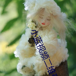 小藍視頻二維碼截圖
