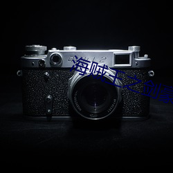 海贼(zéi)王(wáng)之(zhī)剑(jiàn)豪之心