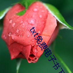 txt免费电子书(書)下(下)载