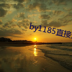 by1185直接进(jìn)入