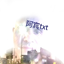 阿宾txt