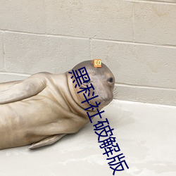 米乐M6·(中国)官方网站