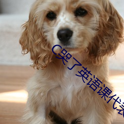 C哭了英语课代表