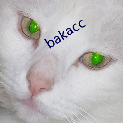 bakacc