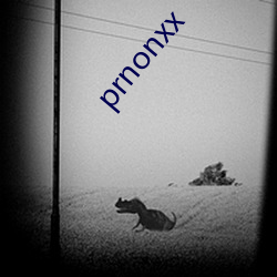 prnonxx