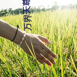 九游会登录j9入口 - 中国官方网站 | 真人游戏第一品牌