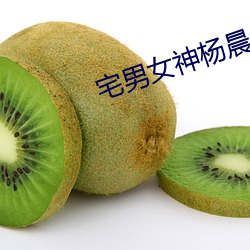 宅男(n¨¢n)女神杨晨晨