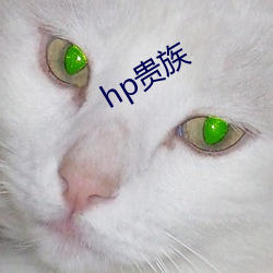 hp贵族 （坐以待旦）