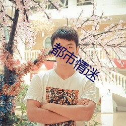 都市(shì)情迷(mí)