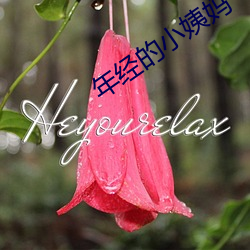 年经(jīng)的小姨妈