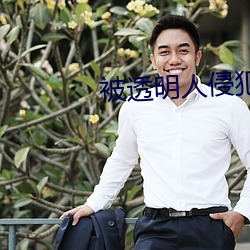 被透明人侵犯动漫(漫)