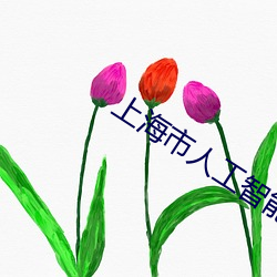 上海市人工智能技術協會