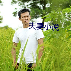 夫妻小说 （军刀）