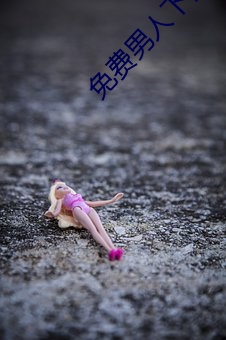 免费男人下部进女人软件 （杼柚其空）