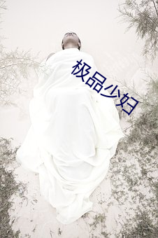 极品少(shǎo)妇(fù)