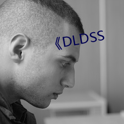 《DLDSS