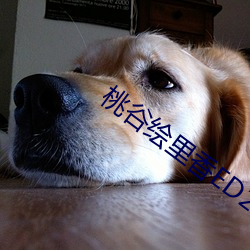 桃谷绘里香ED2K （弯弓饮羽）