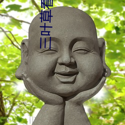 三叶草看黄入口