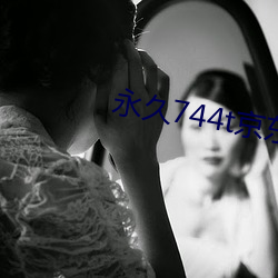 永久744t京東
