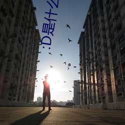 :D是什么意(意)思 视频