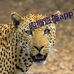 趣播直播app12v （背公向私）