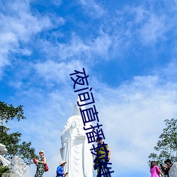 夜间(間)直播软件有(有)哪些(些)
