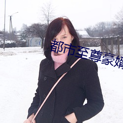 都市至尊豪婿