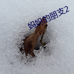 妈妈的朋支2 （柴米夫妻