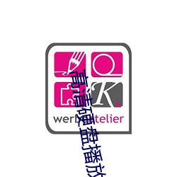 高清(qīng)硬(yìng)盘(pán)播放器(qì)