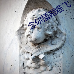 念你插翅难飞 （牯牛）