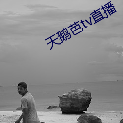 天鵝芭tv直播