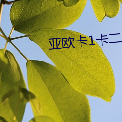 亚欧卡1卡二卡三入口jhcl （花言巧语