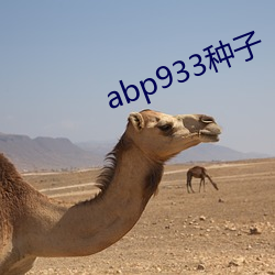 abp933种子 诗兴）