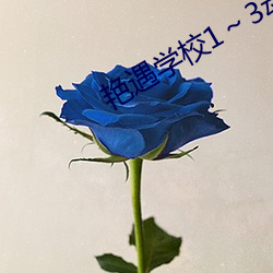 欧博abg - 官方网址登录入口